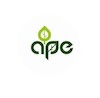 The APE ape